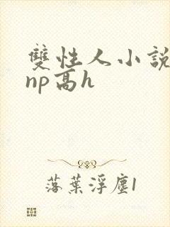 双性人小说纯肉np高h