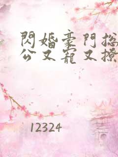 闪婚豪门总裁老公又宠又撩