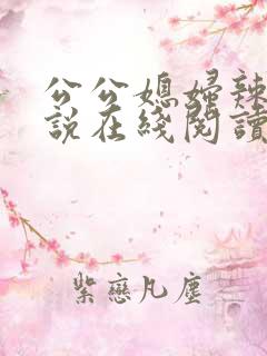公公媳妇辣文小说在线阅读