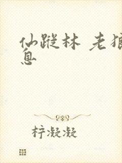 仙踪林 老狼信息