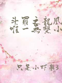 斗罗之龙凰传说唯一无双小说