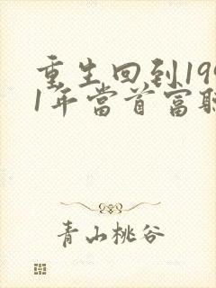 重生回到1991年当首富听书