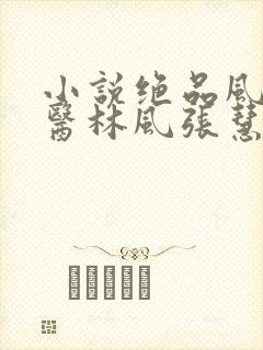 小说绝品风流狂医林风张慧无弹窗