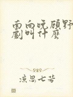 南向晚顾野征短剧叫什么