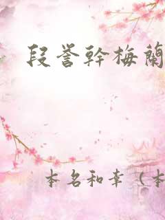 段誉干梅兰竹菊