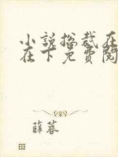 小说总裁在上我在下免费阅读