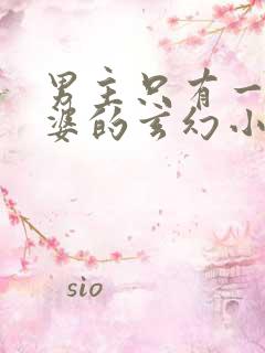 男主只有一个老婆的玄幻小说