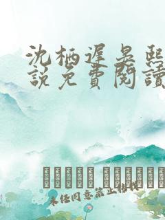 沈栖迟晏熙宁小说免费阅读最新章节