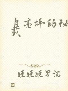 月亮坪的秘密下载