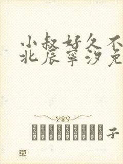 小叔好久不见顾北辰宁汐免费阅读