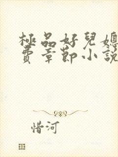 极品好儿媳的免费章节小说全文阅读