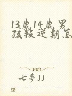 13岁14岁男孩叛逆期怎么办