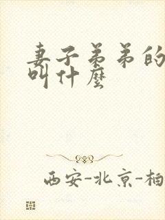 妻子弟弟的媳妇叫什么