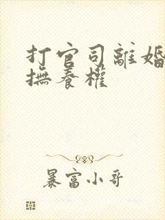 打官司离婚争夺抚养权