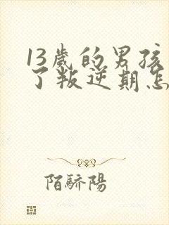 13岁的男孩到了叛逆期怎么教