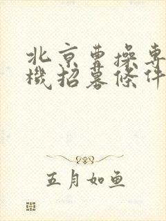 北京曹操专车司机招募条件