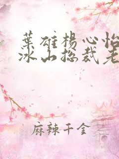 叶雄杨心怡我的冰山总裁老婆