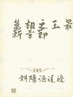 万相之王最新更新章节