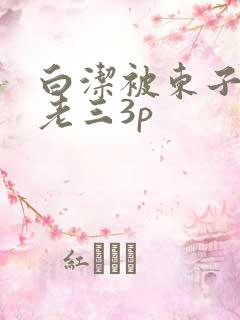 白洁被东子老二老三3p