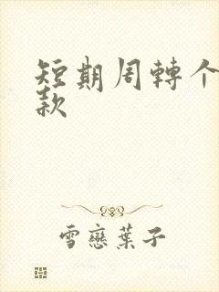 短期周转个人借款