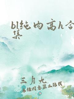 bl纯肉高h合集
