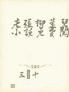 老张柳叶儿媳妇小说免费阅读