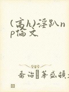 (高h)淫趴np伦文