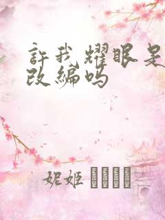 许我耀眼是小说改编吗