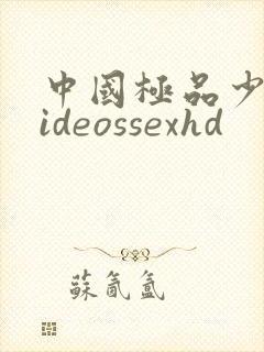 中国极品少妇videossexhd