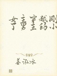 女主穿越刚好救了男主的小说