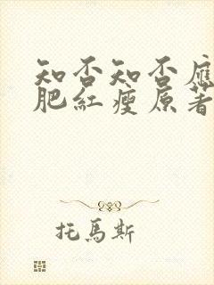 知否知否应是绿肥红瘦原著小说叫什么名字