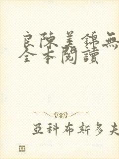 良陈美锦无删减全本阅读