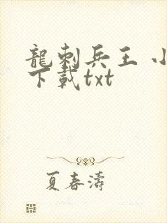 龙刺兵王 小说下载txt