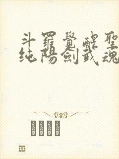 斗罗觉醒圣主和纯阳剑武魂