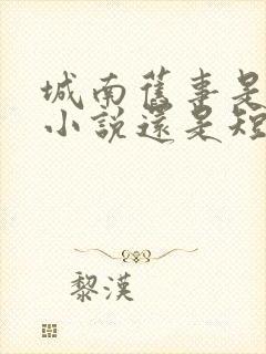 城南旧事是长篇小说还是短篇小说