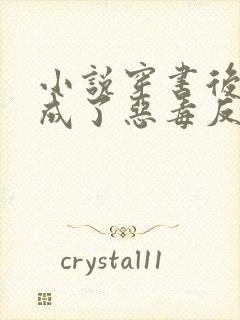 小说穿书后,我成了恶毒反派的亲妈