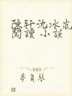 陈轩沈冰岚免费阅读 小说