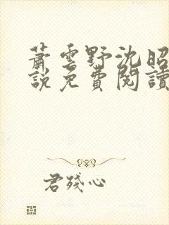 萧云野沈昭宁小说免费阅读最新章节