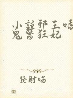 小说邪王嗜宠,鬼医狂妃