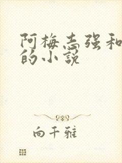 阿梅志强和小可的小说