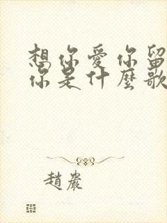 想你爱你留不住你是什么歌