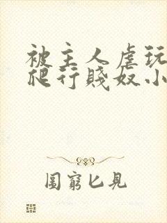 被主人虐玩调教爬行贱奴小说