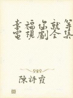 幸福你就等等我电视剧全集免费观看