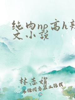 纯肉np高h辣文小说