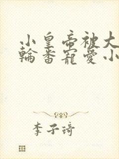 小皇帝被大臣们轮番宠爱小说