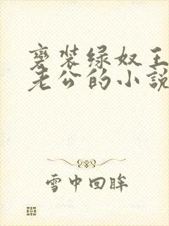 变装绿奴王八奴老公的小说