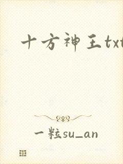 十方神王txt