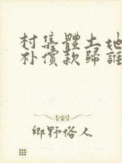 村集体土地征收补偿款归谁