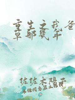 重生之我爸当校草那几年