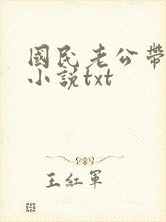 国民老公带回家小说txt